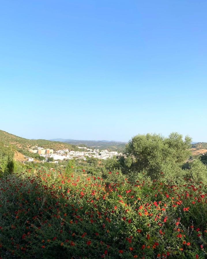 El Molino De La Quinta Apartment Constantina Bagian luar foto