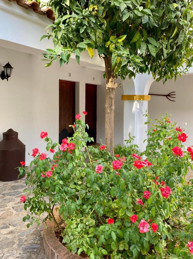 El Molino De La Quinta Apartment Constantina Bagian luar foto