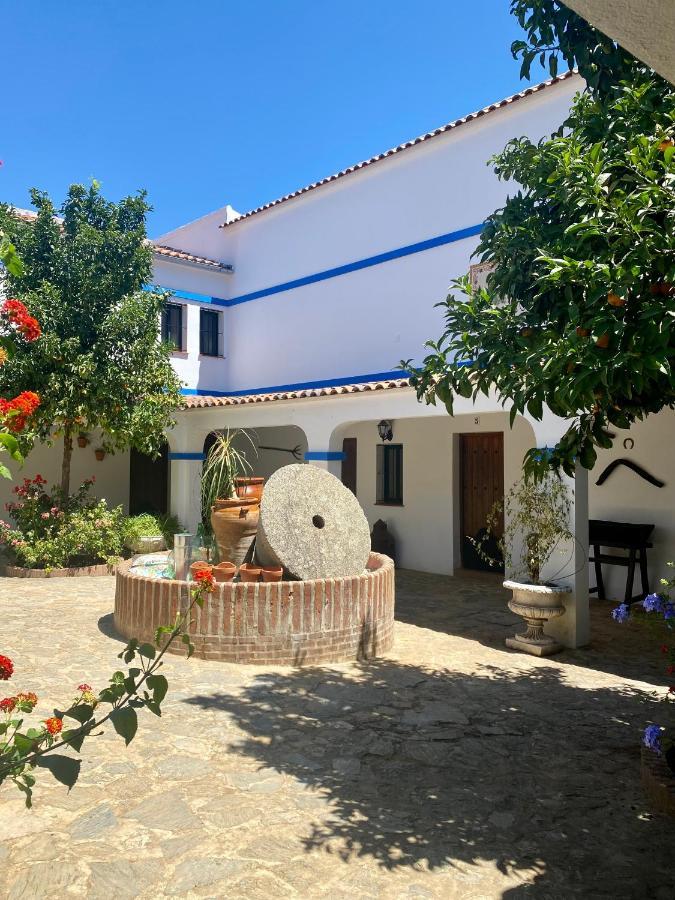 El Molino De La Quinta Apartment Constantina Bagian luar foto